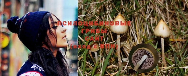 MESCALINE Алзамай
