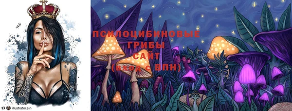 бошки Алексеевка