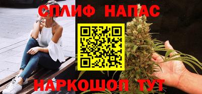 гашик Гусь-Хрустальный