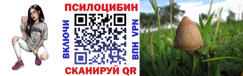 Псилоцибиновые грибы Psilocybe  наркотики  Пенза 