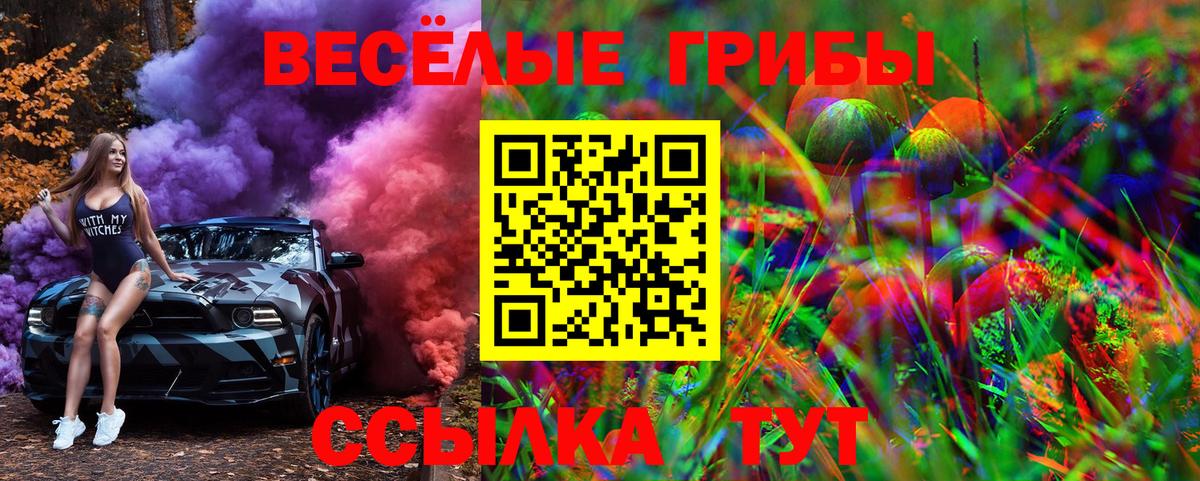 Псилоцибиновые грибы GOLDEN TEACHER Пенза