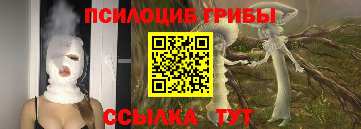 Псилоцибиновые грибы MAGIC MUSHROOMS  где можно купить   Пенза  Вход с VPN 